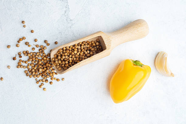 تصویر 1 از فروش تخم گشنیز ممتاز + قیمت خرید به صرفه